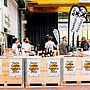 Impression Swiss Coffee Festival 2022. Foto: Justin Groep/Swiss SCA