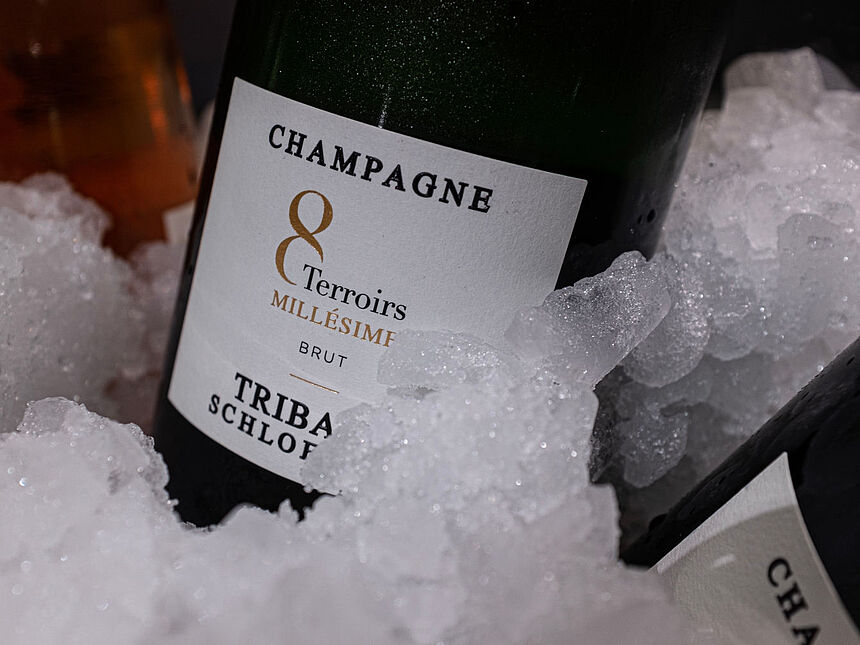 Champagne Tribaut Schloesser. Foto: Dirk Jürgensen